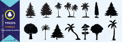 DIFFERENT KINDS OF TREE  BLACK AND WHITE