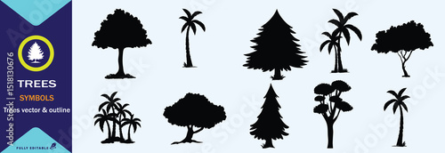 DIFFERENT KINDS OF TREE  BLACK AND WHITE