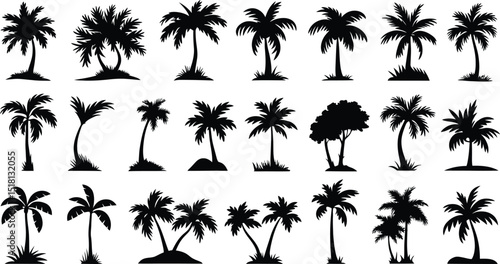 palm tree icon set, Simple Silhouette of a Tropical Coconut Palm Tree, vector illustration isolated on white background