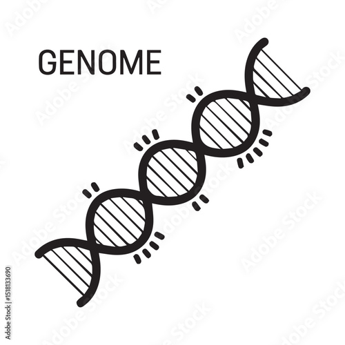 Genome DNA Strand 