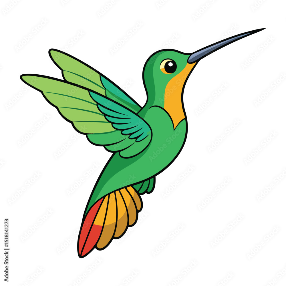 hummingbird on a branch hummingbird on a branch