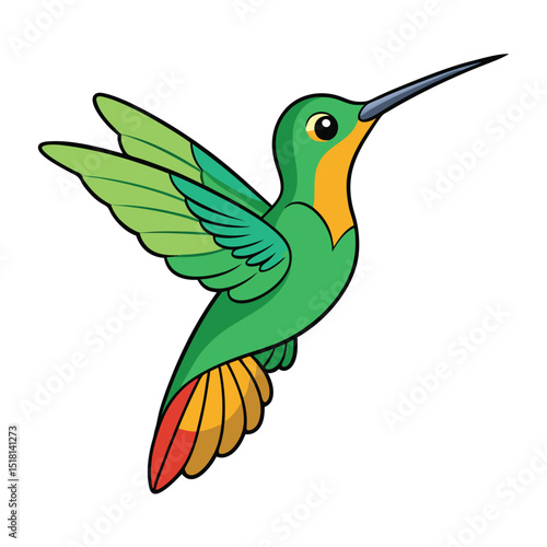 hummingbird on a branch
