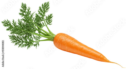 Quadro su tela Isolated Carrot