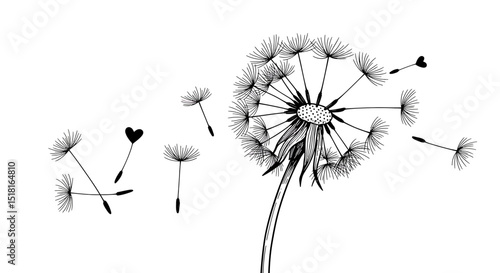 Detailed Black and White Dandelion with Floating Seeds