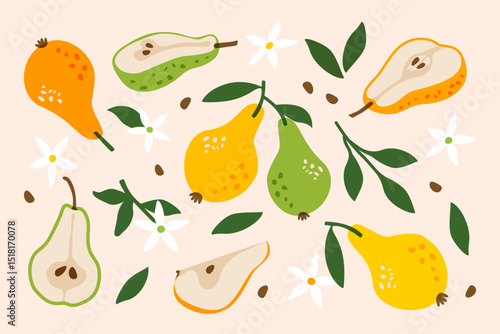 Pear fruits. Fresh summer food, ripe organic yellow green fruit with leaf, natural garden harvest, healthy vegetarian diet product, abstract pear slice with seed. Vector cartoon set
