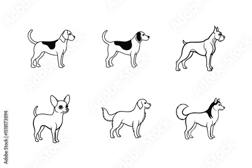Different types of dogs