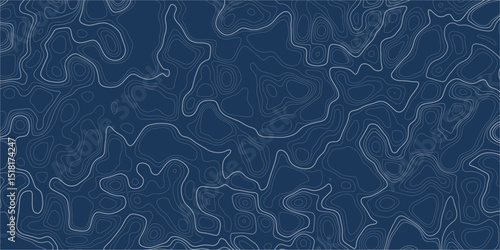 Line of topography background. Blue topographic map concept with space for your copy. Cartography concept background. Map mockup infographics. World map Template. Stock vector illustration