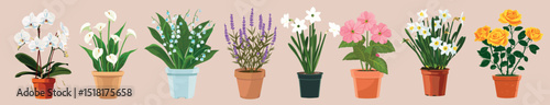Colorful potted flowers collection, isolated vector set