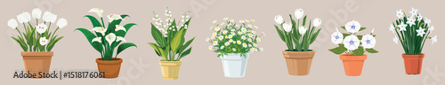 Colorful potted flowers collection, isolated vector set