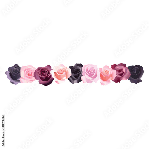 Black rose border illustration flower floral vector