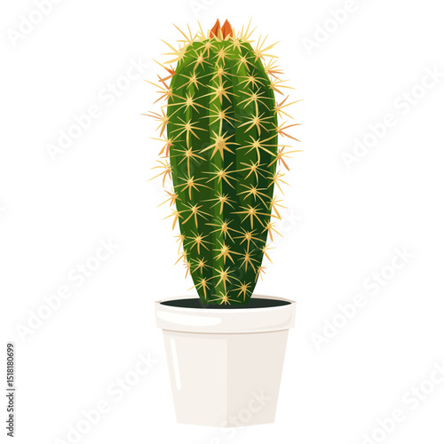 Potted plant cactus illustration potted potted plant vector
