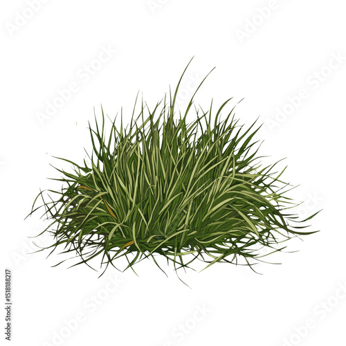 Green clump of grass illustration design plant vector
