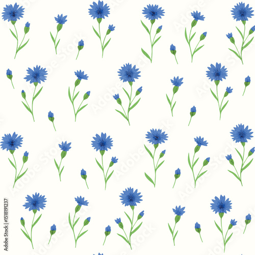 Seamless pattern with hand-drawn cornflowers and green stems on transparent background