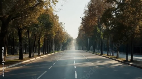 Autumnal Avenue: Long Road Lined with Trees in Warm Fall Colors
