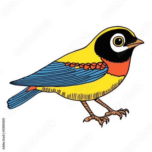 Bird illustration decorative colorful vector