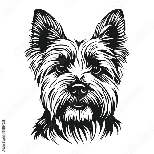 Yorkshire terrier face linear art illustration drawing vector