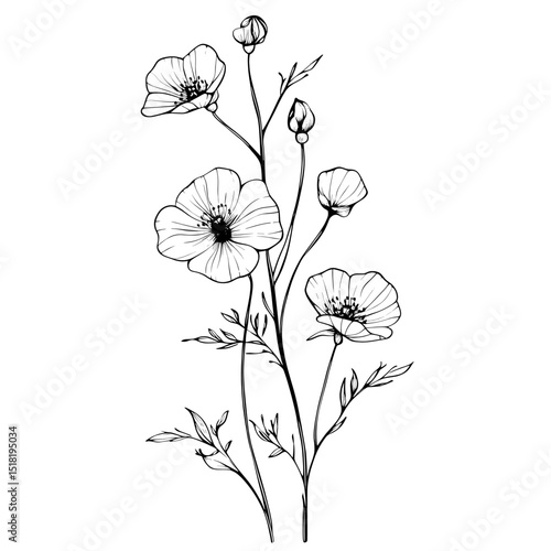 Art illustration minimalist drawing vector