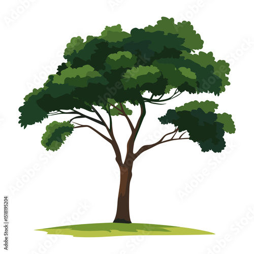 Coco tree illustration art environmental vector
