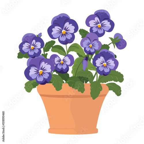 Potted plant Pansies pansy illustration flowers vector