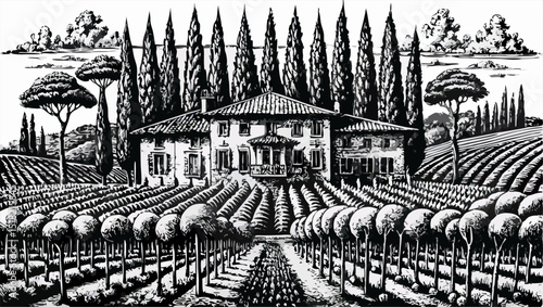 Tuscan Villa in Vineyard Landscape, Black and White Illustration