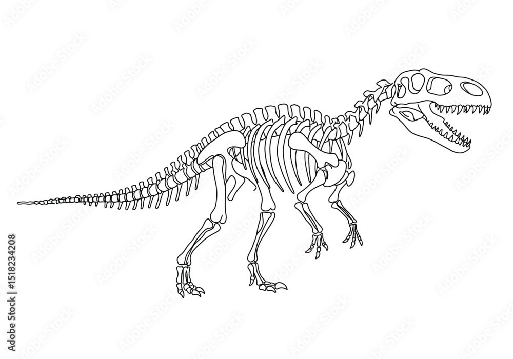 Dino skeleton drawing. It is a black and white outline image of a dinosaur skeleton, likely a T-Rex, showcasing its detailed bone structure. Vector sketch line art draw. Dino skeleton drawing. It is a black and white outline image of a dinosaur skeleton, likely a T-Rex, showcasing its detailed bone structure. Vector sketch line art draw.