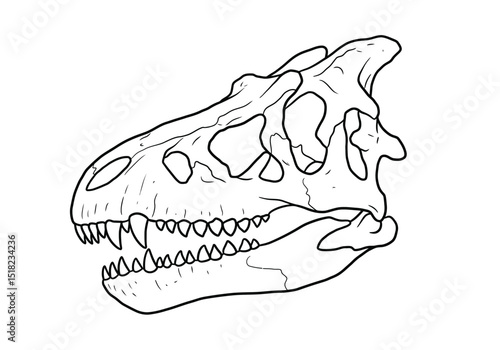 Dino skull drawing. It is a black and white outline image of a dinosaur skull, likely from a large theropod like T-Rex or Allosaurus. Vector sketch line art draw.