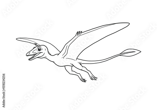 Fly dinosaur drawing. It is a black and white outline image of a flying dinosaur, a pterodactyl or pterosaur, with its wings spread. Vector sketch line art draw.