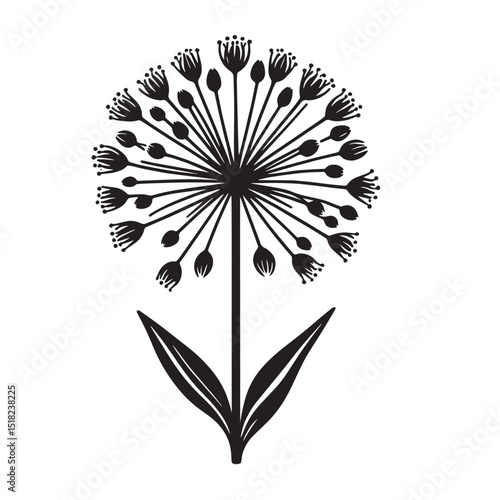 Allium Flower SVG
