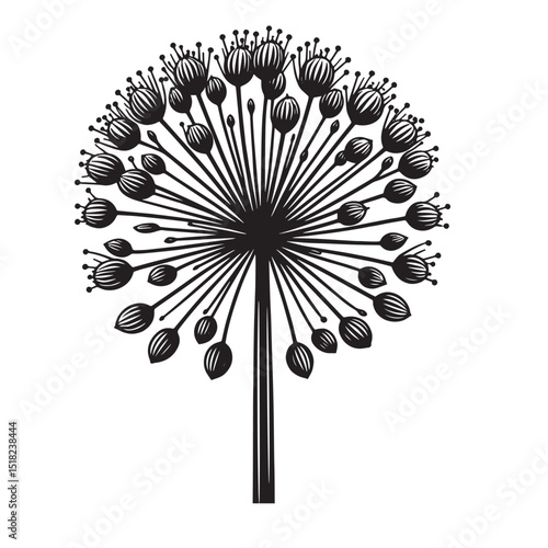 Allium Flower SVG