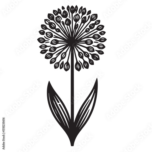 Allium Flower SVG