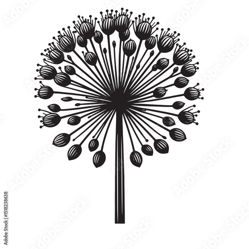 Allium Flower SVG
