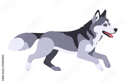 Running Siberian Husky Vector Illustration - Cartoon Dog Image of a Husky - Cute Dog Breed Artwork for Pet Lovers and Graphic Design Projects