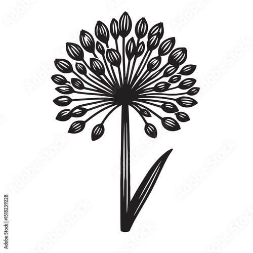 Allium Flower SVG