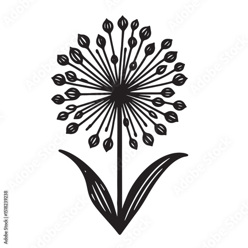 Allium Flower SVG