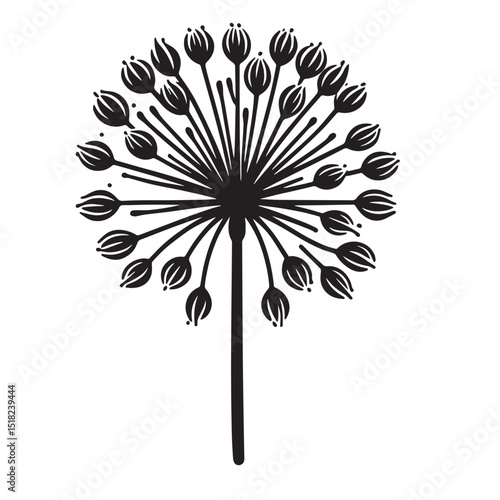 Allium Flower SVG