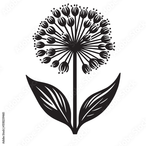 Allium Flower SVG