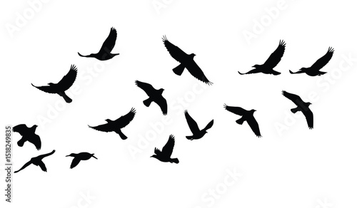 goose birds fly silhouette black isolated white background