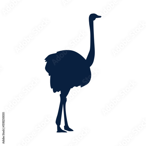 Ostrich Silhouette Vector – Standing Flightless Bird Illustration Isolated on a White Background 