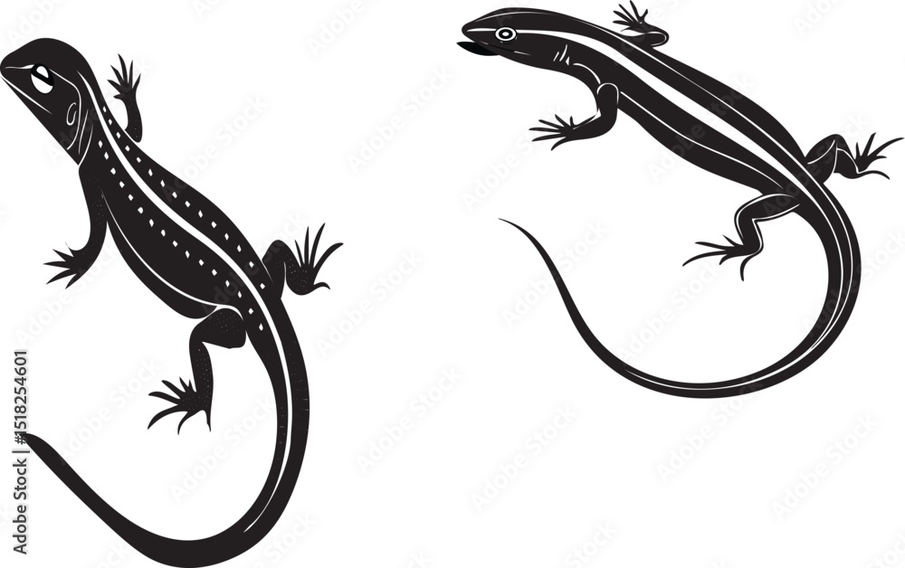 Fototapeta premium Skink silhouette vector design with white background ..