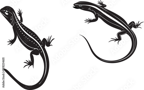 Skink silhouette vector design with white background ..