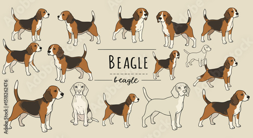 Illustrated Collection of Various Beagle Dog Poses and Styles