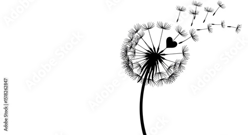 Black and White Dandelion with Heart Shaped Seed Blowing in the Wind