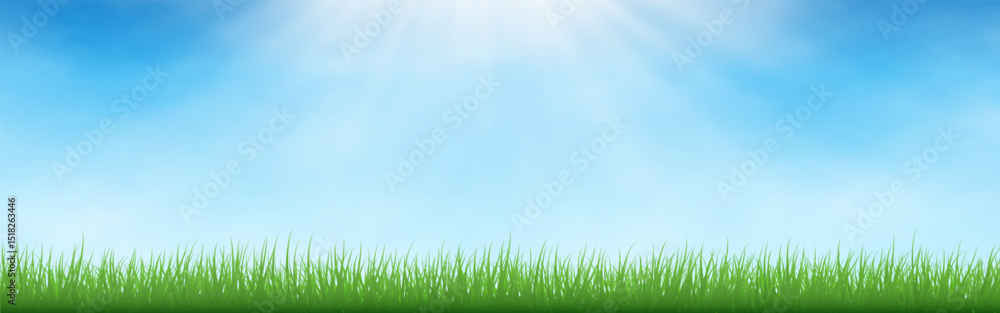 Fototapeta premium Grass border. Sunny green field with blue sky and light rays. Bright natural background for spring, summer, eco or outdoor design. Clean composition with space for text. Vector Illustration.
