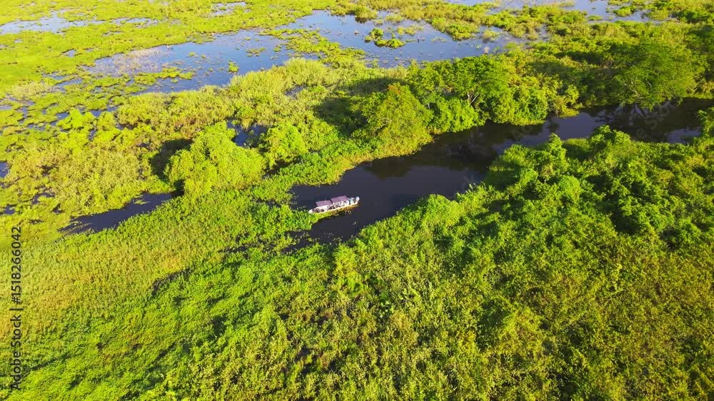 Aerial View of a Small Boat in a Green Wetland Lagoon in the Pantanal, Brazil Aerial View of a Small Boat in a Green Wetland Lagoon in the Pantanal, Brazil