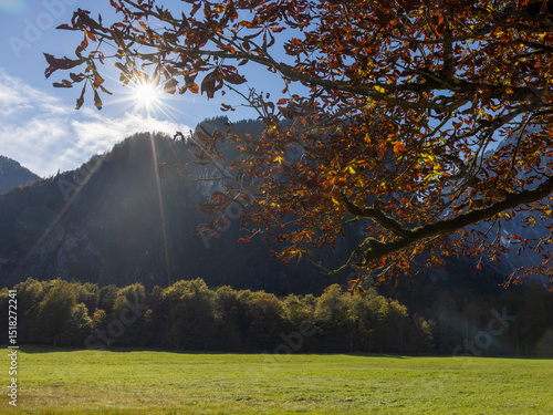Herbstsonne