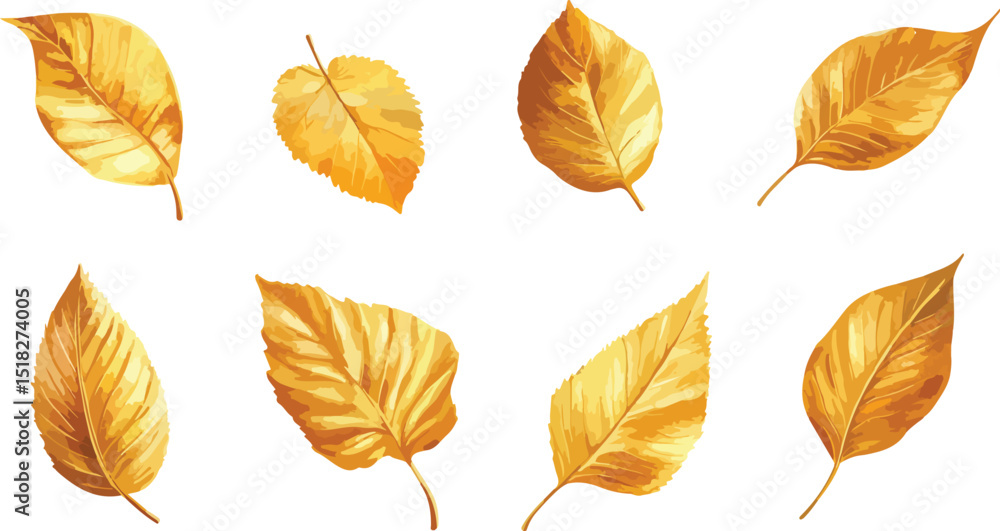 Obraz premium Isolated golden autumn leaves of various shapes and sizes are arranged on a white background showcasing the beauty of fall foliage in a