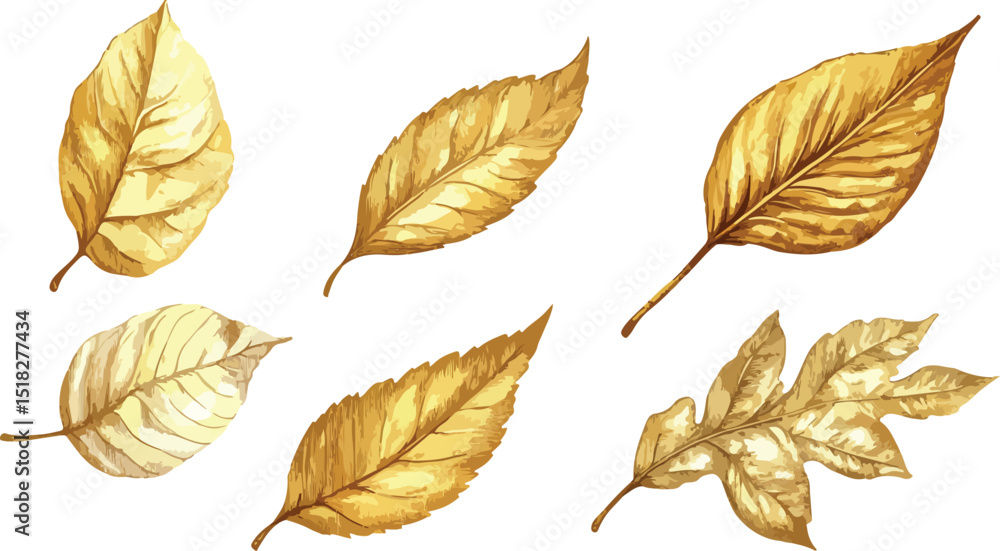Obraz premium Elegant Golden Autumn Leaves Illustration on White Background Featuring Detailed Veins and Textures Perfect for Seasonal Designs and Artistic Projects with a Touch