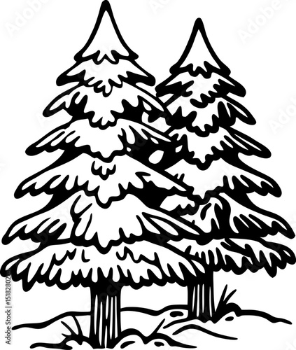 Evergreen pine trees winter forest outline black and white illustration, coniferous woodland nature scene