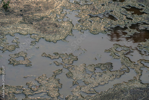 Stagnant water with texture
