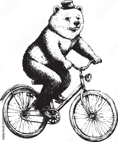 Circus bear on bicycle sketch engraving vector illustration. Scratch board style imitation. Hand drawn image.